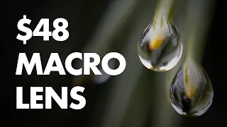 How to Build a $48 Macro Lens