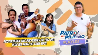 Paano protektahan ang 'fur babies' sa tag-init | Patrol ng Pilipino Playlist Vol. 29: Pets
