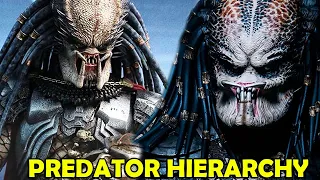 PREDATOR: HIERARCHY EXPLAINED - THE YAUTJA CODE OF HONOR EXPLAINED - WHY DO PREDATORS HUNT?