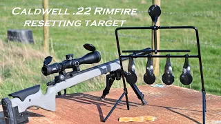 Caldwell 22 Rimfire Resetting Target