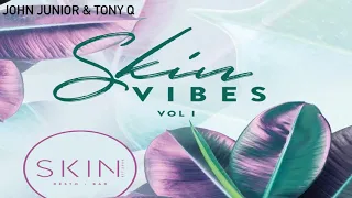 JOHN JUNIOR & TONY Q - SKIN VIBES VOL 1