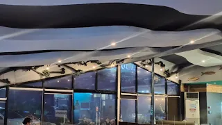 Aquarium Cafe & Lounge Experience