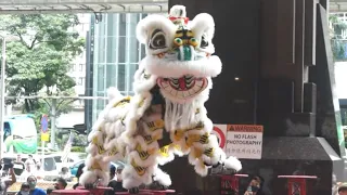Singapore Yiwei Athletic Association Lion Dance 新加坡藝威體育會 Champion