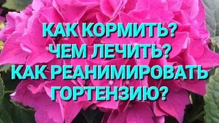 Чем кормить? Чем лечить? Важные препараты под рукой!!!