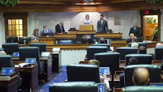 Senate committee hearing on Indiana abortion ban bill