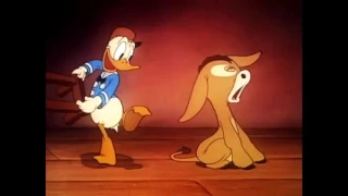 Donald Duck & Chip and Dale Cartoons HD - Pluto Dog, Daisy Duck, Goofy New Collection Part 6