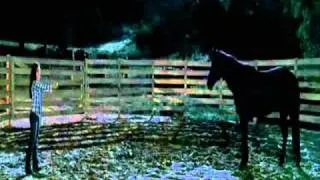 Flicka - The Taming of the Wild Horse.wmv