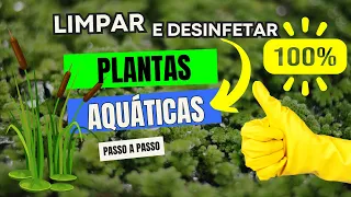 COMO LIMPAR E DESINFECTAR PLANTAS AQUÁTICAS🌱💦