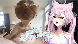 Nyanners Reacts to meme compilation, totally loses it at a f𝖺𝗋𝗍 meme (with Chat)
