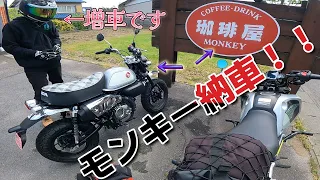 【祝！増車！】モンキーかっこかわいい・・・ようこそバイク沼へｗ#グロム ＃原付二種