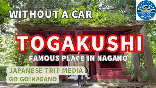 [Japan Nagano]Bus tour of Togakushi Shrine and recommended sightseeing spots [Travel]