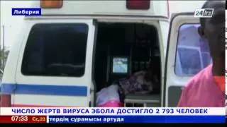 Число жертв вируса Эбола достигло 2 793 человек