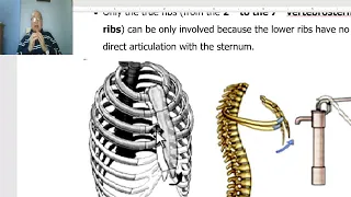 Anatomy of the thorax in Arabic 2023 (Respiratory movements ), by Dr. Wahdan