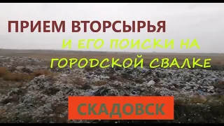 Прием вторсырья в Скадовске. Некоторые внутренние перестановки. Городская свалка.