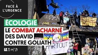 ECOLOGIE : LE COMBAT ACHARNÉ DES DAVID CONTRE GOLIATH