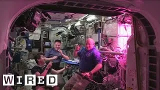 Astronauts Eat First  Space Grown Salad