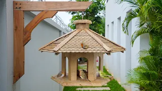 Build Most Amazing Bird House and Bird Feeder