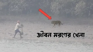 Sundarban Tiger Atack-sundarban fishing video/sundarban fishing bangla-Sundarban অভিযান