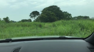 Prueba de manejo Ranger Wildtrak Panamá Amador 4