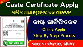 How To Apply SEBC & OBC Caste Certificate In Online 2023 || Caste Certificate Apply Online In Odia