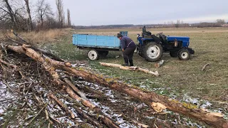 Впало дерево на посів пшениці, їдемо забирати трактором