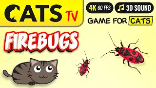 CAT TV - FAST real firebugs 🙀🪳 3D Sound 😻📺 [4K]