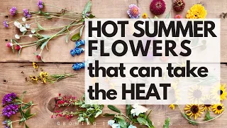 10 HOT SUMMER garden FLOWERS that take the HEAT - plus TIPS for WHEN and HOW to plant them