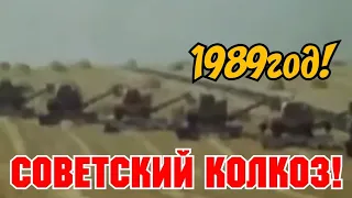 1980г! ХРОНИКА СССР ! ЧТО ТАКОЕ СОВЕТСКИЙ КОЛХОЗ!!