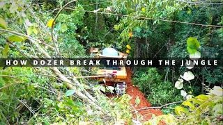Dozer Break Through The Jungle