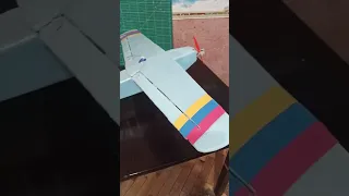 DIY RC AirPlane LM19 model with Flysky FS-I6X testing