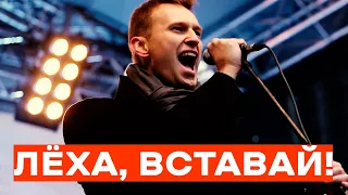 Лёха, вставай!