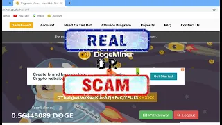 dogeminer site review | Dogecoinminer Real or fake | 2022