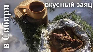 Лесная кухня: Заяц в углях