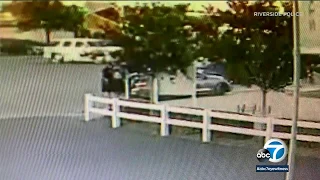 SCARY VIDEO: Surveillance footage shows possible child abduction | ABC7