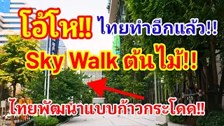 โอ้โห!! Sky Walk ต้นไม้แห่งแรกของไทย!! เมืองไทยทำอีกแล้วพัฒนาแบบก้าวกระโดดจริงๆ#skywalk