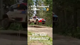 WRC Rally Estonia 2023 winner Kalle Rovanpera jump #rallye #car #wrc #rally