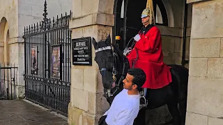 King's Horse HEADBUTTS a tourist, then nips him as the Guard tries not to laugh!
