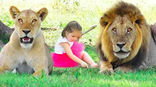Girl Saved A Dying Lion Cub 5 Years Ago, But Now, Something Unbelievable Happened!