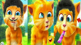 new funny video talking ginger funny 😹 cat | talking ginger 2 mod apk latest version