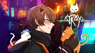 I AM CAT!【STRAY】【NIJISANJI EN | Alban Knox】