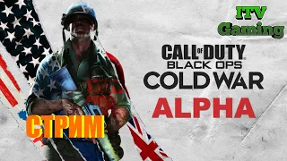 Call of Duty Cold War АЛЬФА!!! Второй день, второй стрим =)