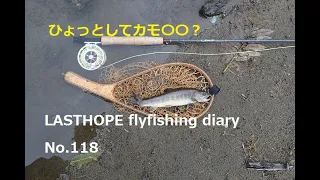 ひょっとしてカモ〇〇？　LASTHOPE flyfishing diary-No.118