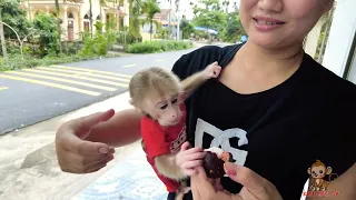 The cameraman is sick, Mother and Kiti the Monkey come to visit