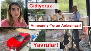 Kusadasi Vlog! Ev Yemekleri!Sokak Hayvanlari! Annemi Yolcu Ettik! Planimiz!#hollandadanatesailesi