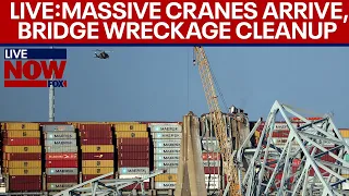 LIVE: Baltimore Bridge collapse, largest cranes arrive for wreckage cleanup | LiveNOW from FOX