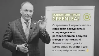 Маркетинг-план Greenleaf 🎯