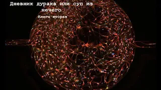 Нго Ма  Дневник дурака книга 2 Аудиокнига