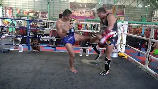 Muay Thai Padwork Dokmaipa PK Saenchai ดอกไม้ป่า พี.เค.แสนชัยมวยไทยยิม