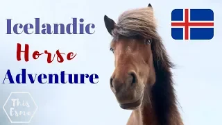 Icelandic Horse Adventure! | This Esme