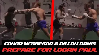 Conor McGregor new sparring footage with Dillon Danis.